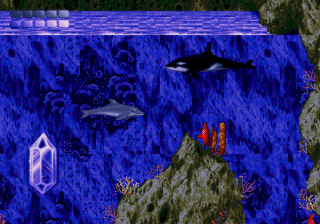 Ecco the Dolphin Complete announced, containing the first two games and a new ‘contemporary’ game插图 Ecco the Dolphin Complete announced, containing the first two games and a new ‘contemporary’ game