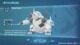 Pokemon Legends Z-A All Mega Evolutions: Every Mega Evolution and Mega Stone Locations