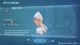 Pokemon Legends Z-A All Mega Evolutions: Every Mega Evolution and Mega Stone Locations