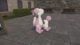 Pokémon Legends Z-A Furfrou forms: How to change Furfrou forms