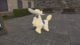 Pokémon Legends Z-A Furfrou forms: How to change Furfrou forms