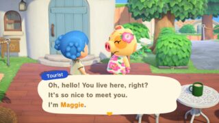 Animal Crossing: New Horizons is getting a Nintendo Switch 2 Edition and a huge free update