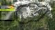 Forza Horizon 6 – All mascot locations