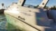 Rockstar confirms Grand Theft Auto 6 Ultimate Edition and pre-order bonuses as well as price