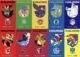 Every Japanese football team just got its own official Pokémon