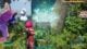 How to get to the World Tree Palworld 1.0 guide screenshot