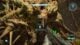 Halo Campaign Evolved Keyes Skulls and Terminals locations guide screenshot