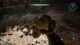 Halo Campaign Evolved The Silent Cartographer Skulls and Terminal locations guide screenshot