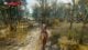 The Witcher 3 Wild Hunt Remastered screenshot
