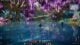 Aion 2 Ascension Gauge: How to quickly raise the Ascension Gauge to continue Episodes