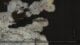 DD2 Dark Arisen: All Norgan Portcrystal locations